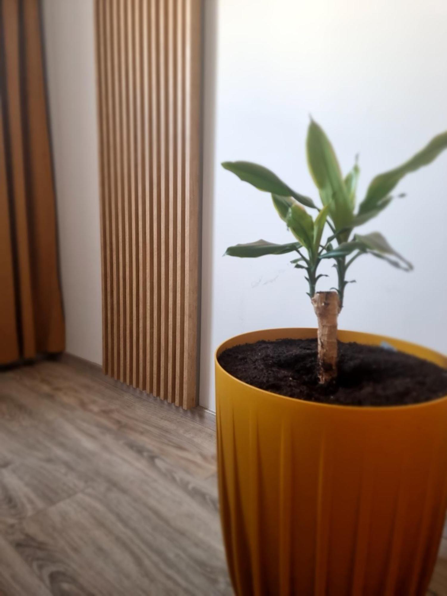 Apartament Lux Lemon イェレニャ・グーラ エクステリア 写真